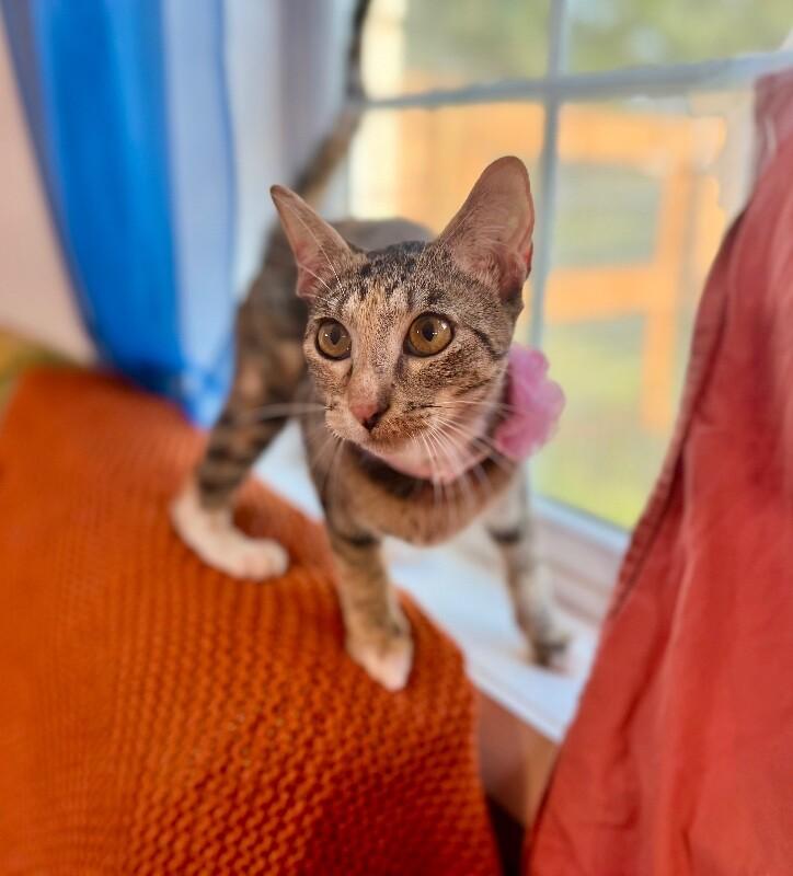 Watermelon Sugar — thumbnail 4