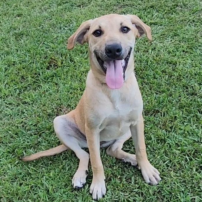 Mika, Young Female unknown