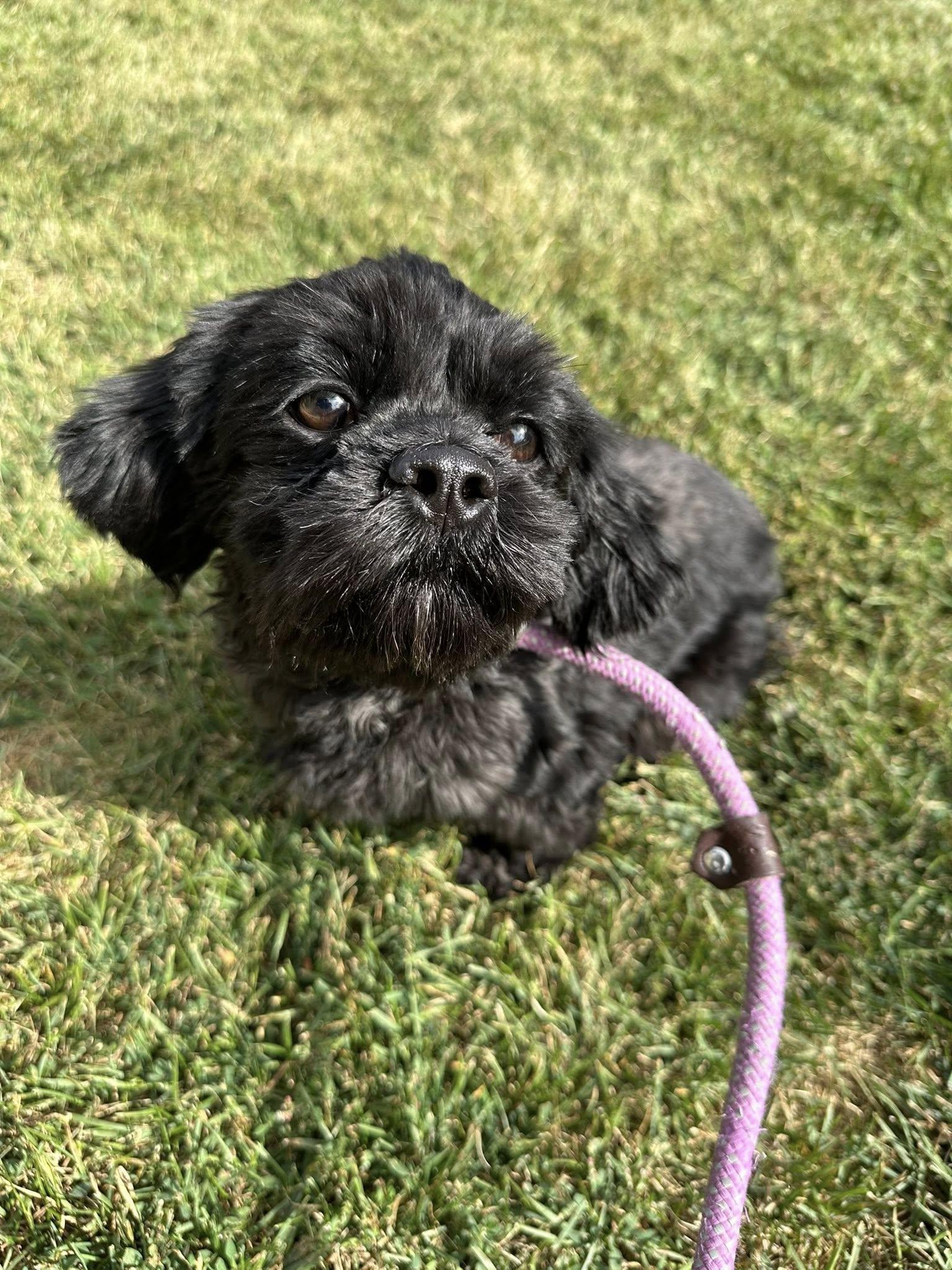 Ewa Needs A Forever thumbnail 2