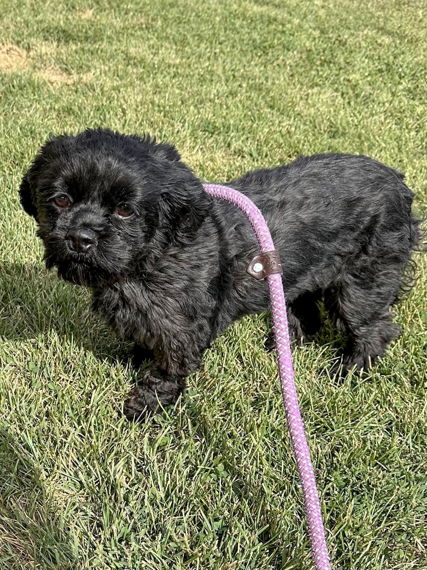 Ewa Needs A Forever thumbnail 3