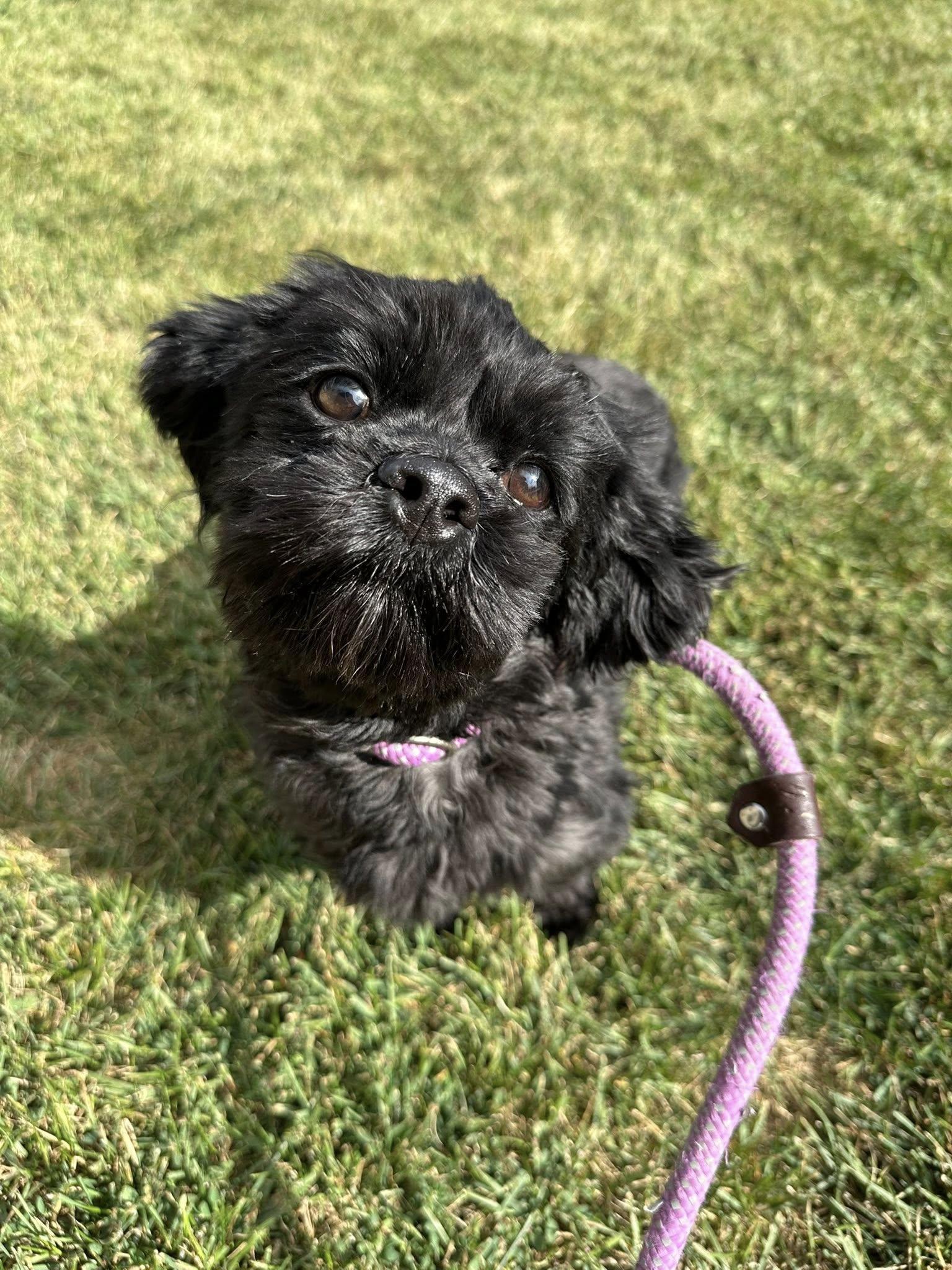 Ewa Needs A Forever thumbnail 4