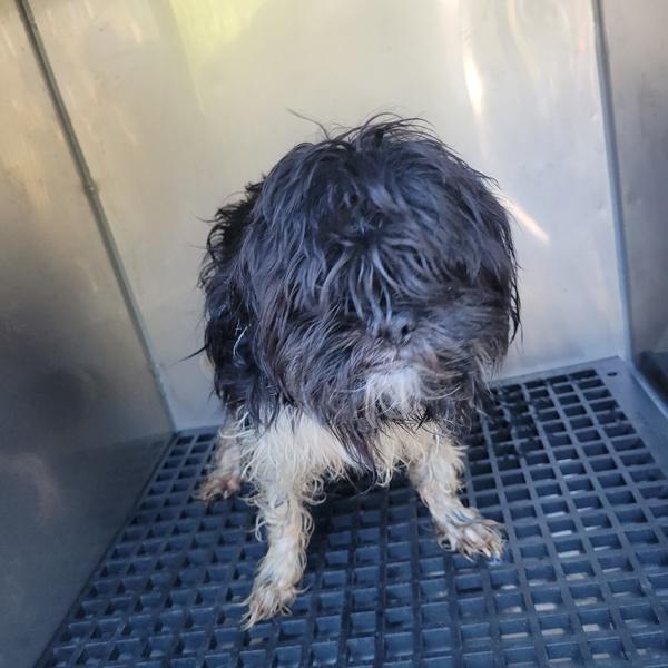 Pen  Buster thumbnail 2