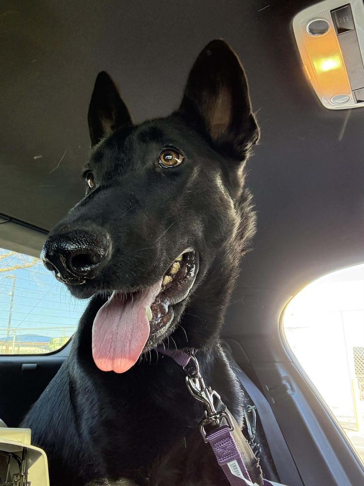 Wild Things Ravenlocated In