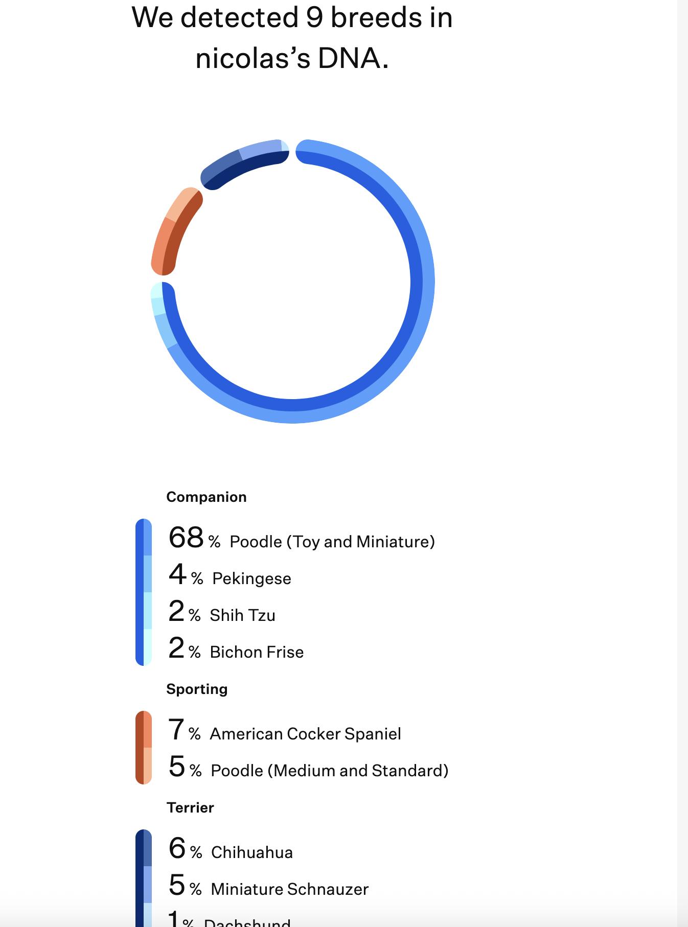 Enlarge NICHOLAS, a ADOPTABLE mixed breed in houston, TX image 6/6