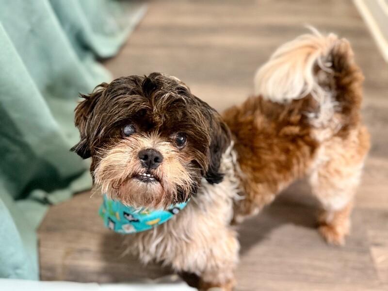 Bentley Cookies N Cream — thumbnail 2