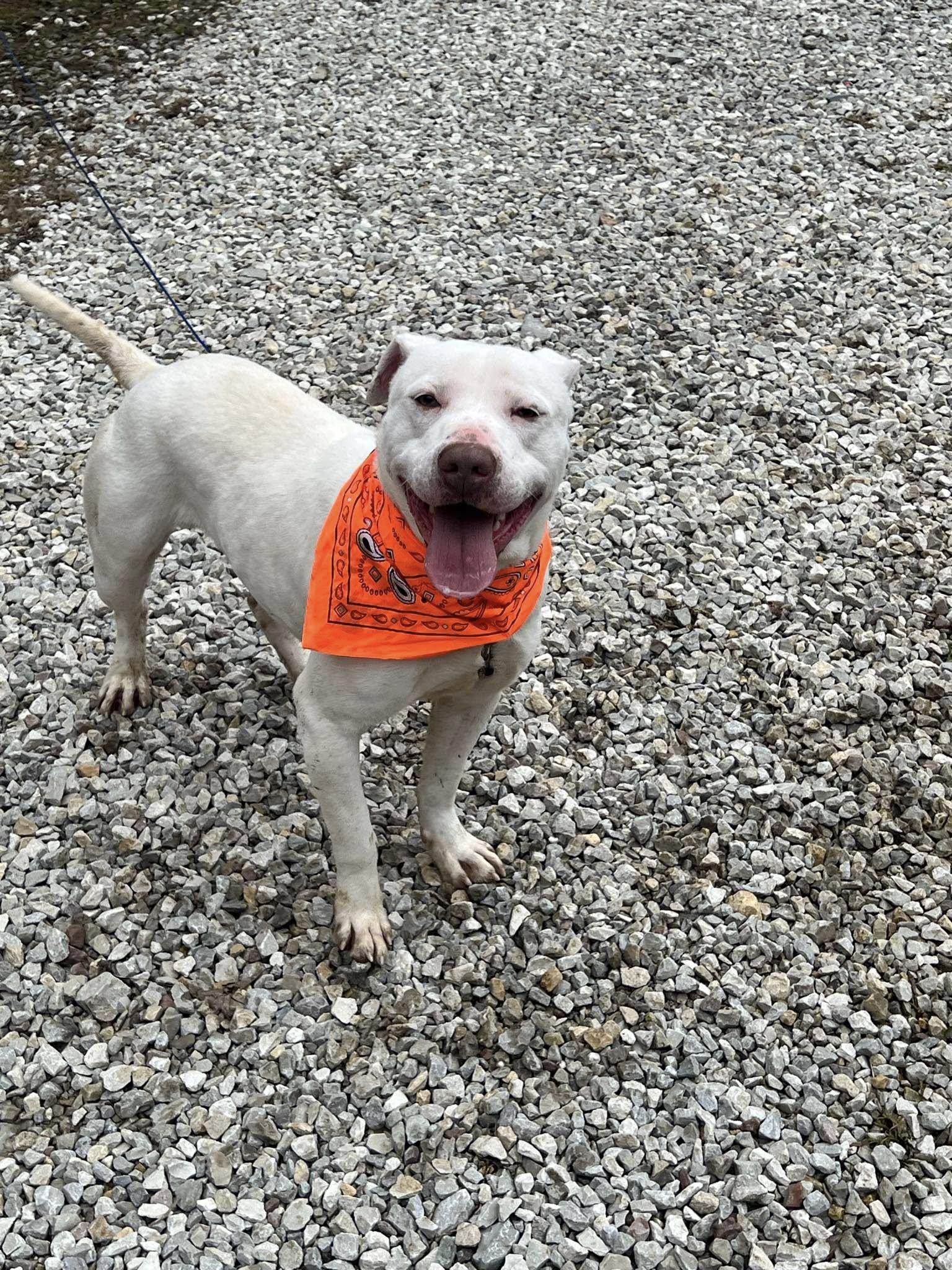 Ghost (20260227-01) — thumbnail 2