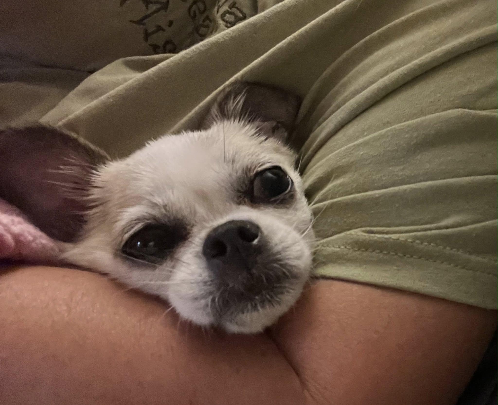 Rosie