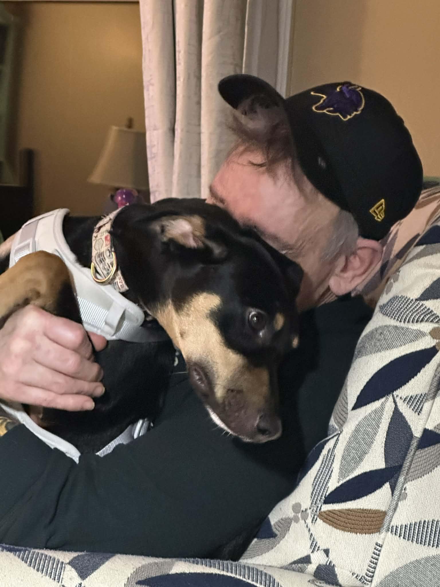 Ripley, a ADOPTABLE mixed breed in Collierville, TN image 3/6