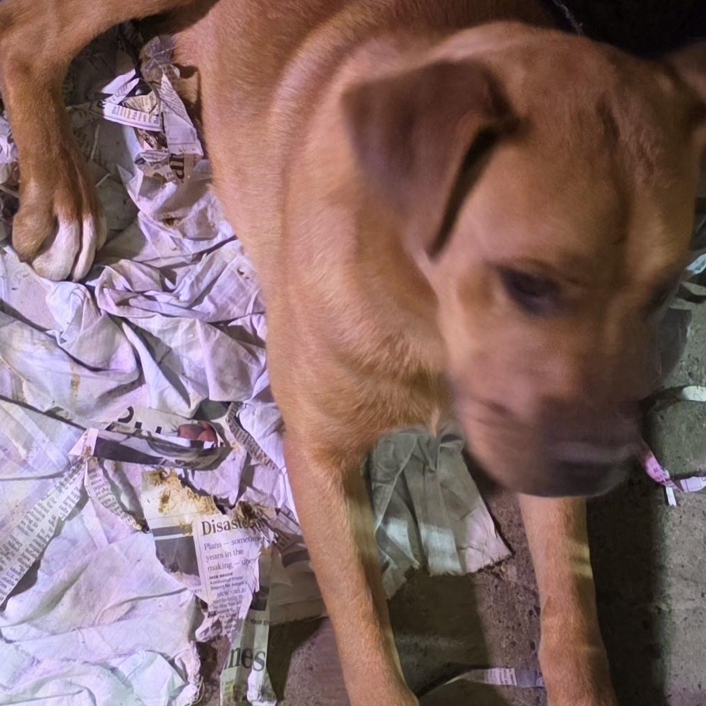 Max photo 2