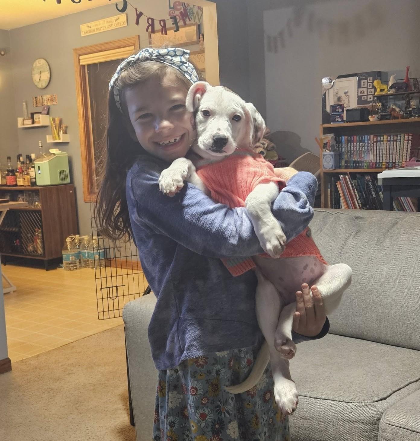 Enlarge Stacie the lab mix, a Adoptable mixed breed in Muskego, WI image 4/5