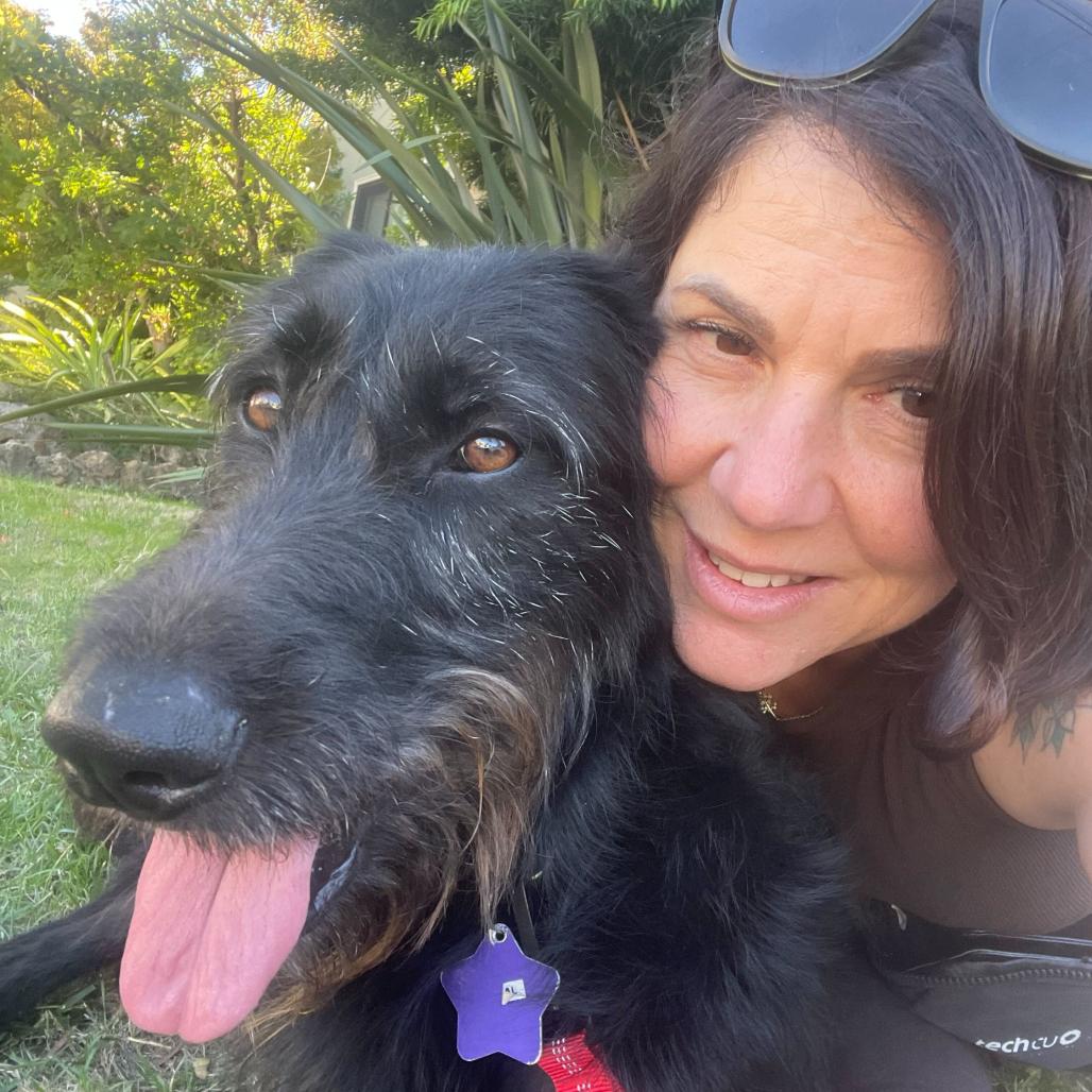 Enlarge Opal, a Adoptable Mixed Breed in San Francisco, CA image 2/6