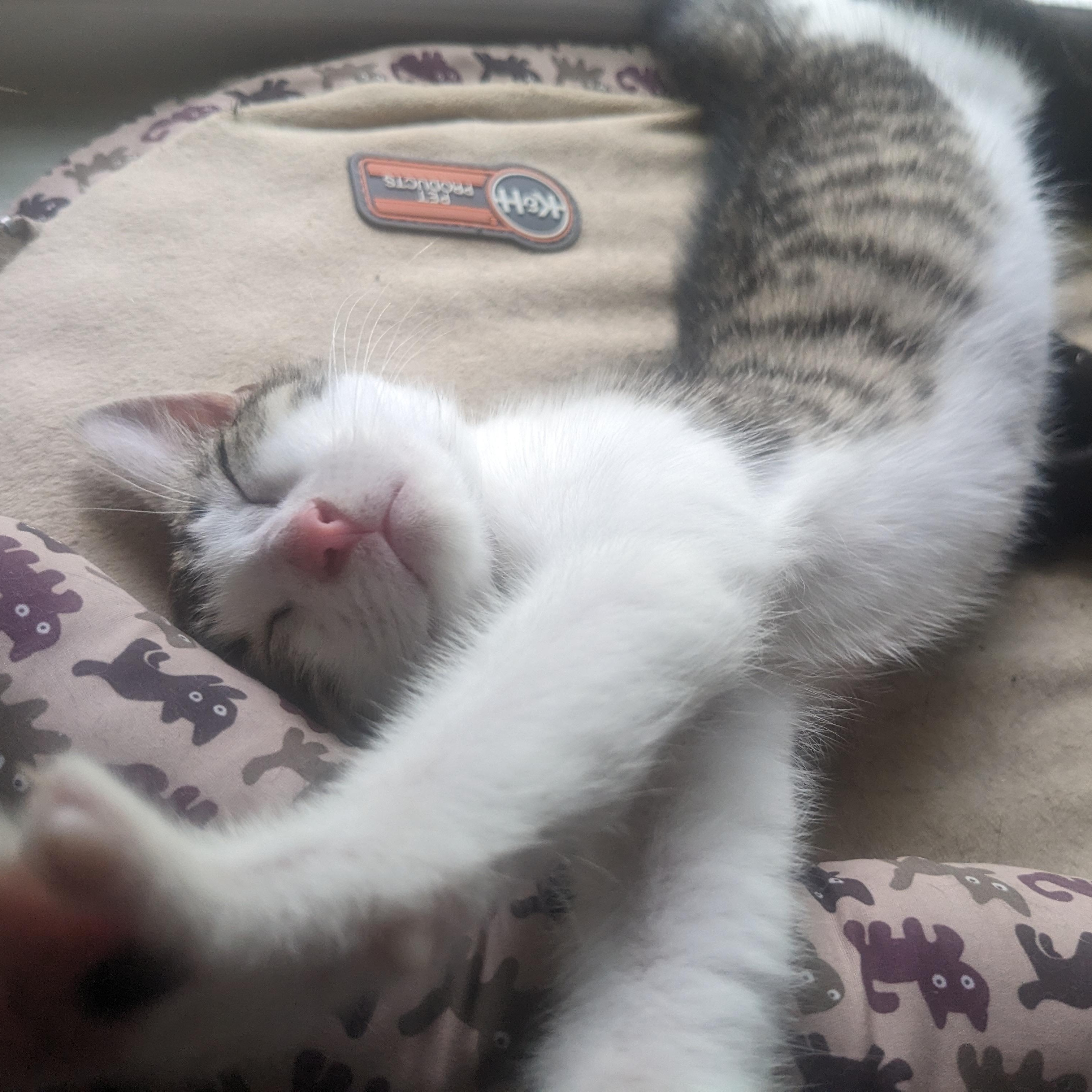 Peaches