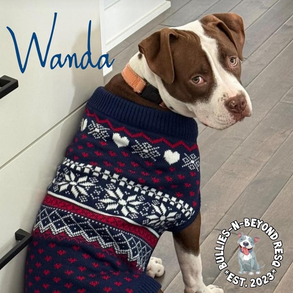 The Chicks Litter: Wanda