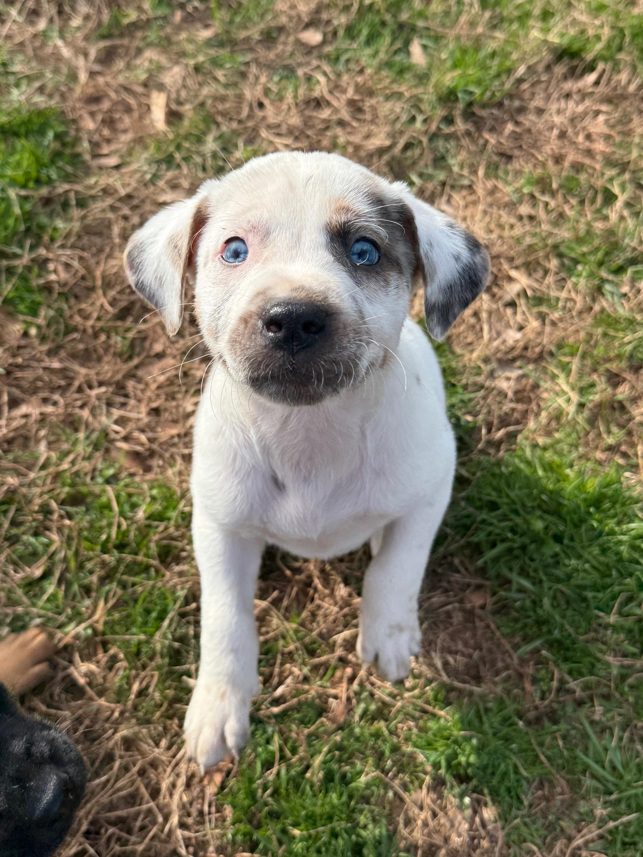 Crush Heart — thumbnail 5