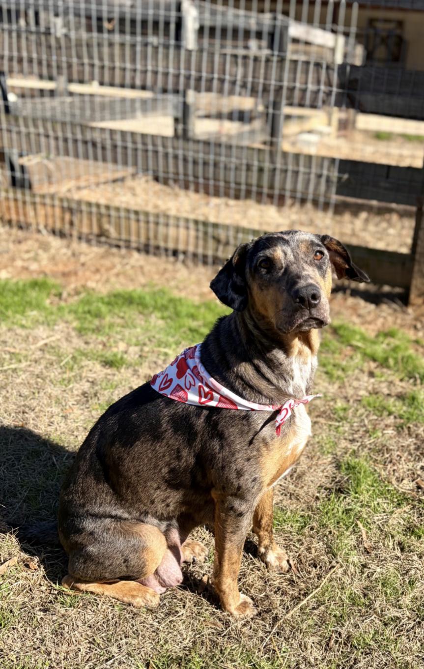 Crush Heart — thumbnail 6