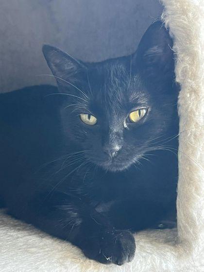 Elise — thumbnail 2