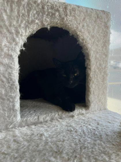 Elise — thumbnail 3