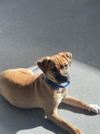 Elijah — thumbnail 2