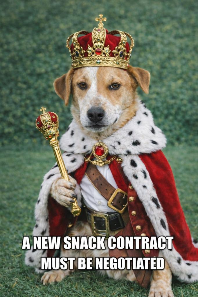 Enlarge Anansi, a Adoptable mixed breed in Fort Stockton, TX image 1/5