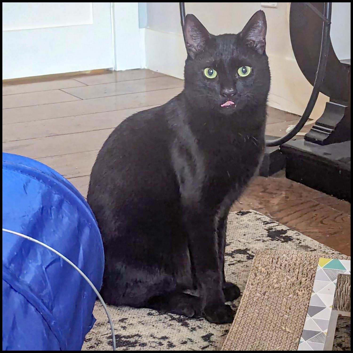 Binx