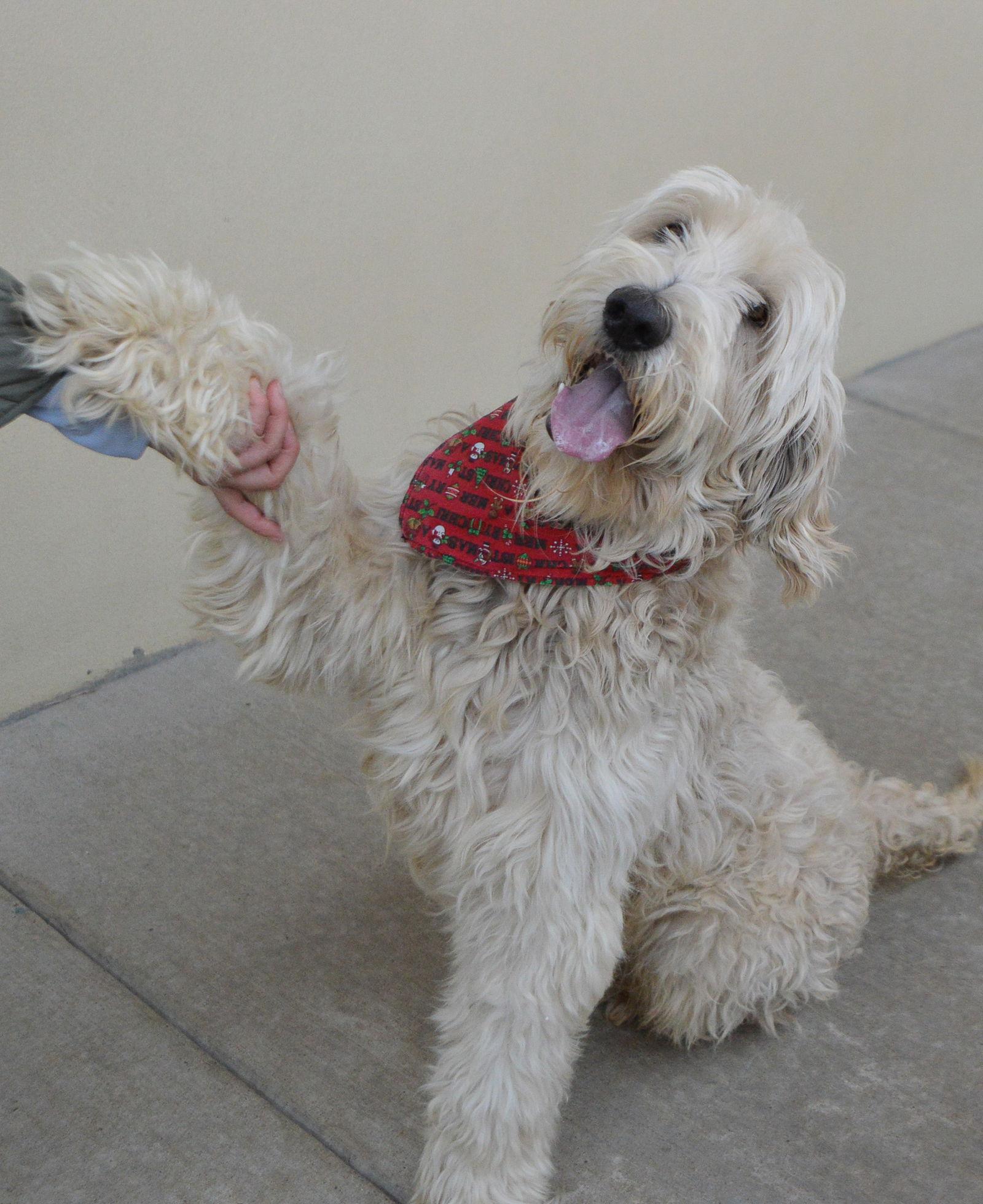 Jolly Rover thumbnail 3