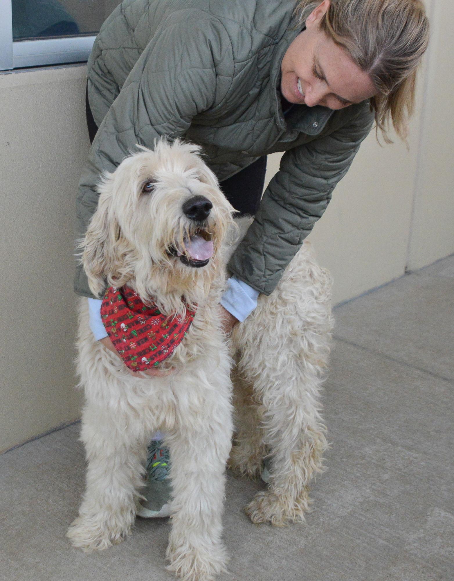 Jolly Rover thumbnail 4