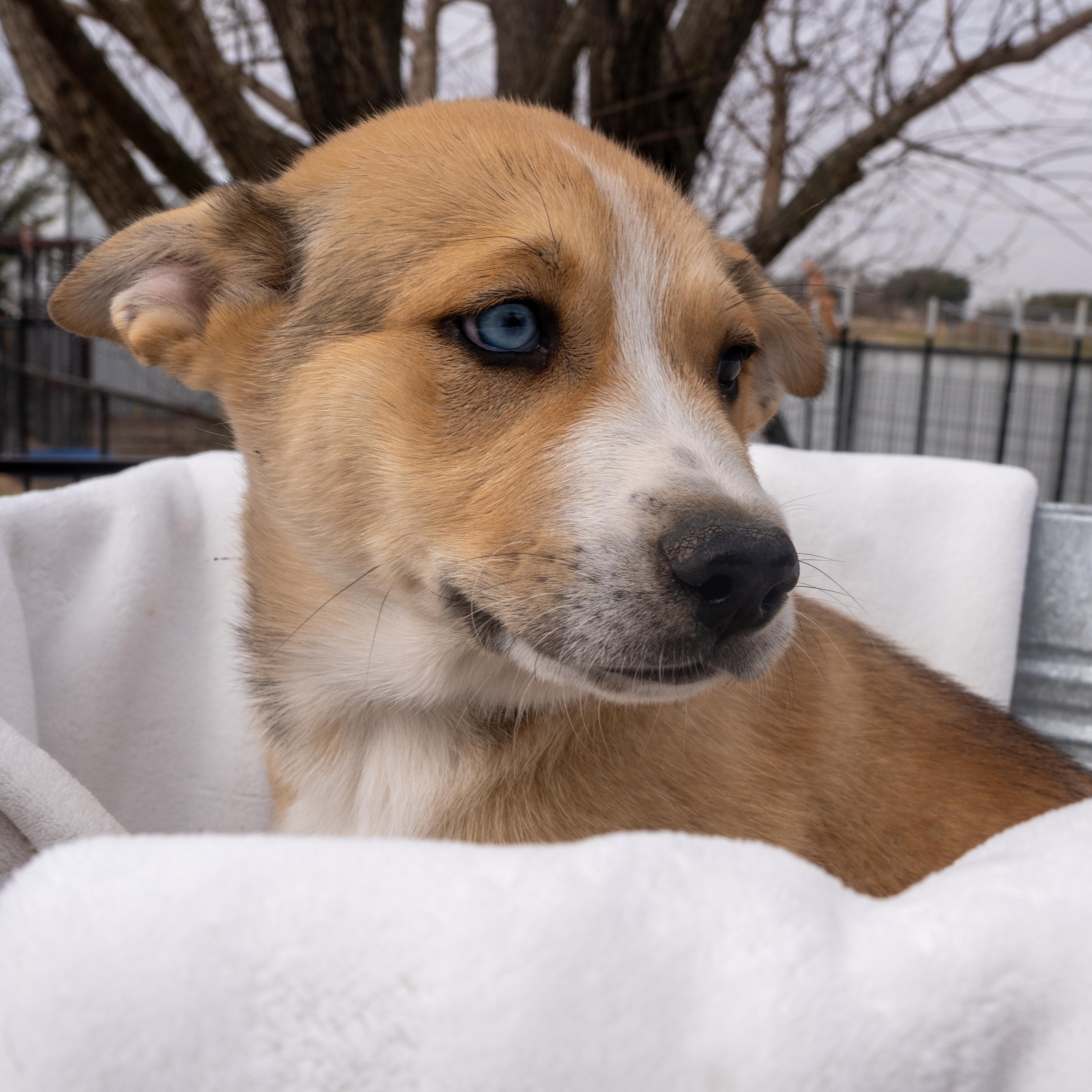 Leif — thumbnail 6