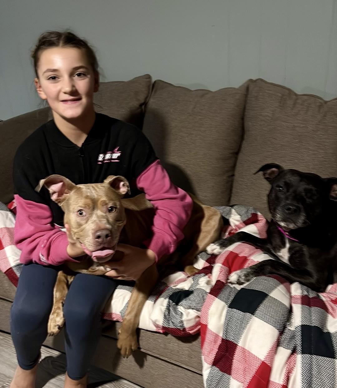 Lola, a Adoptable Pit Bull Terrier in Northport, NY image 4/6