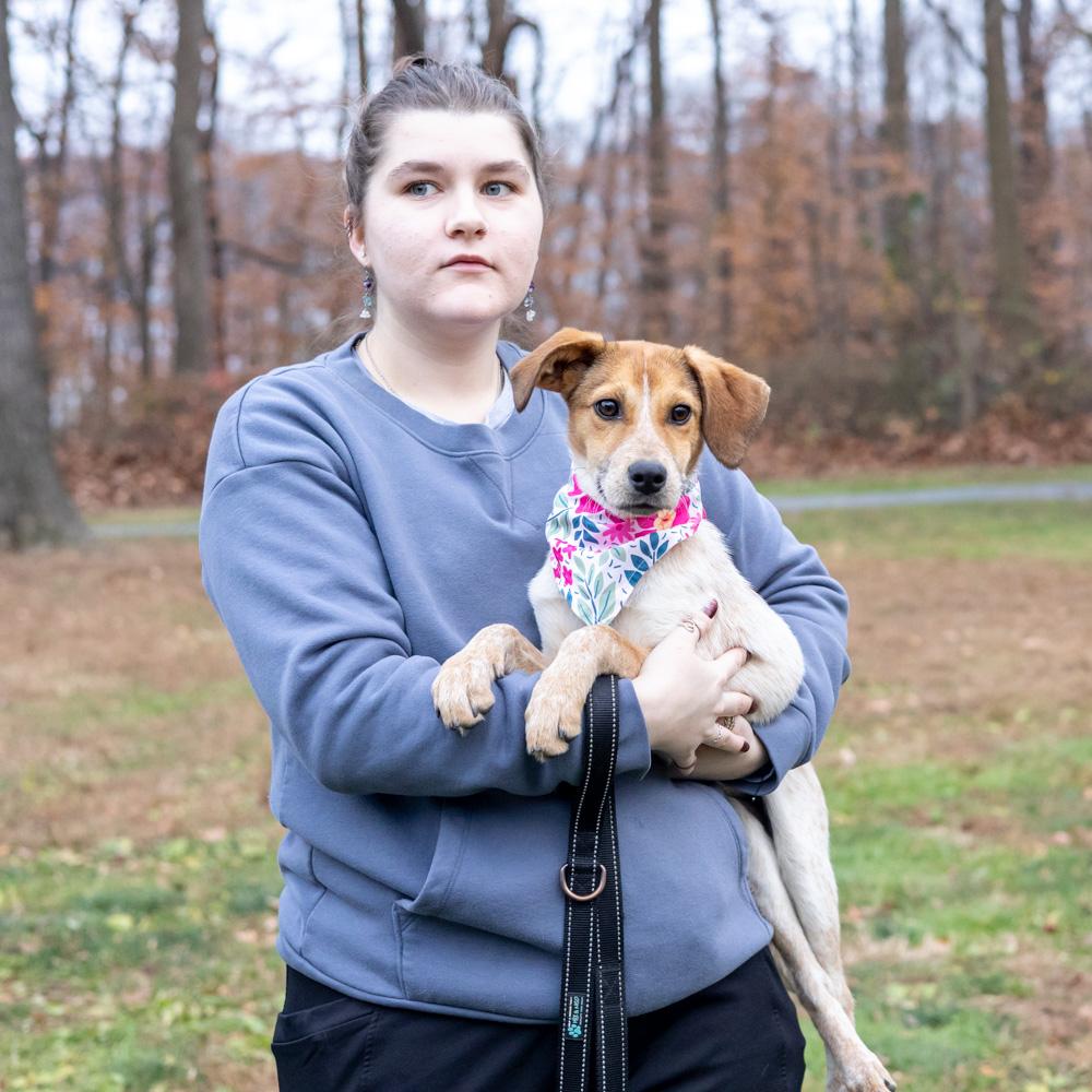 Spice (Female), a Adoptable mixed breed in West Grove, PA image 2/6