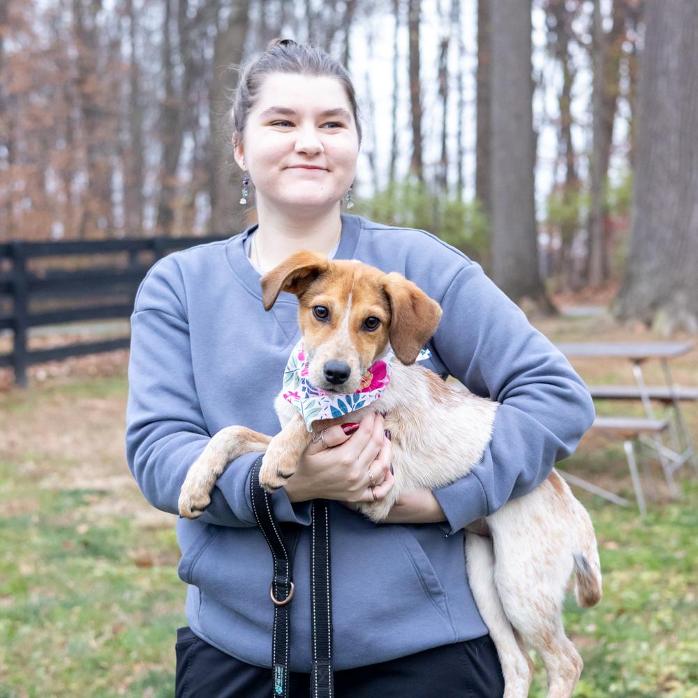 Spice (Female), a Adoptable mixed breed in West Grove, PA image 5/6