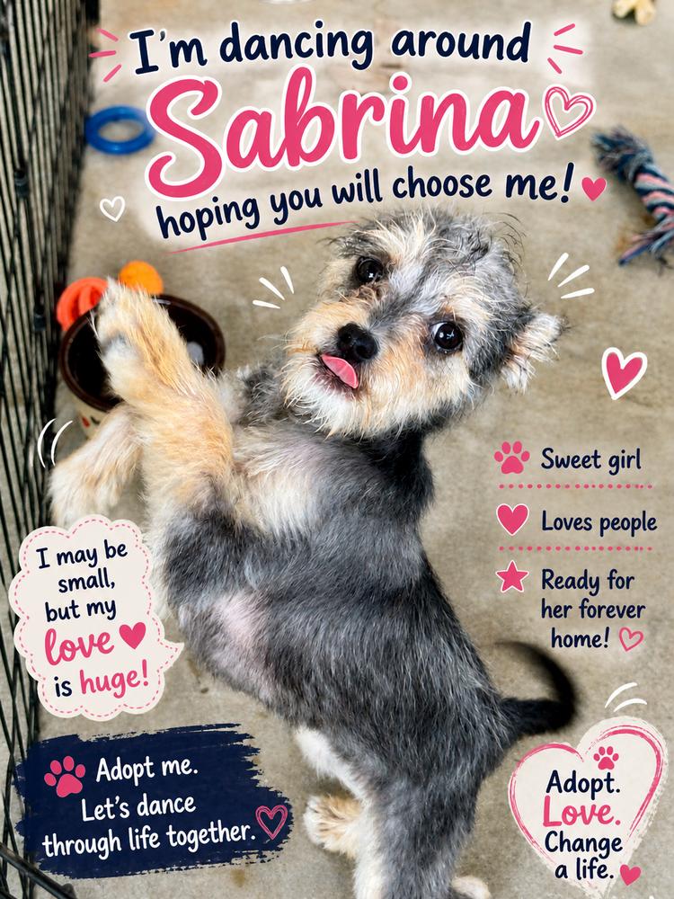 Sabrina, a Adoptable mixed breed in San Diego, CA image 1/6