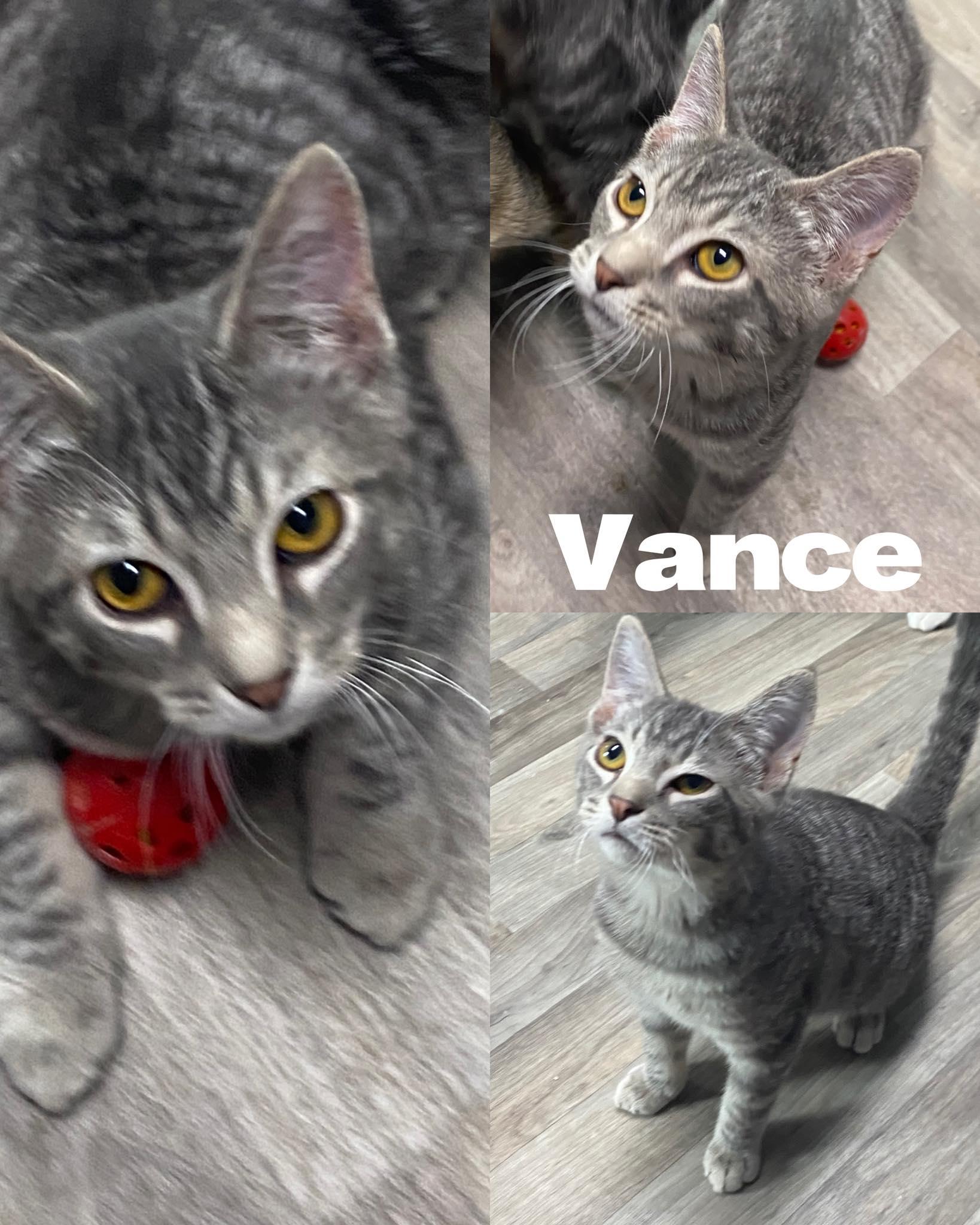 Vance