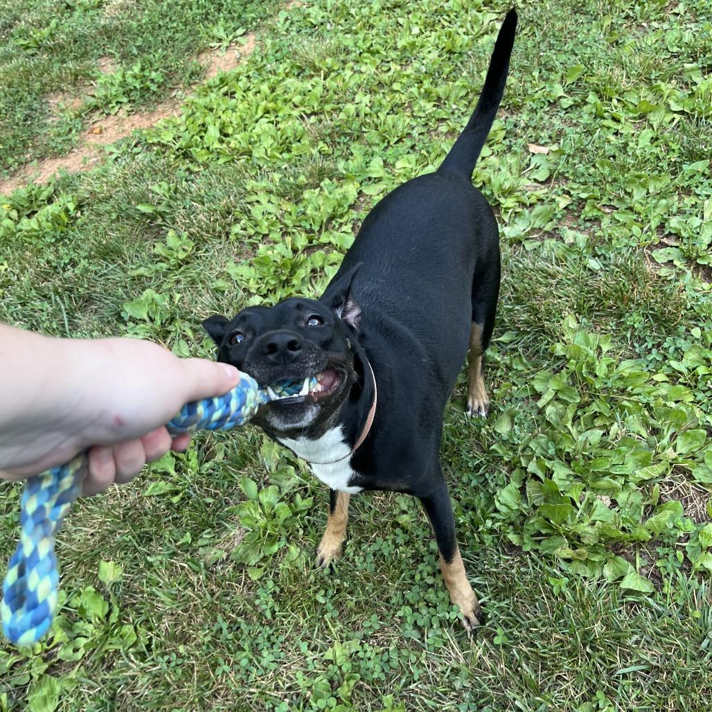 Lyla — thumbnail 5