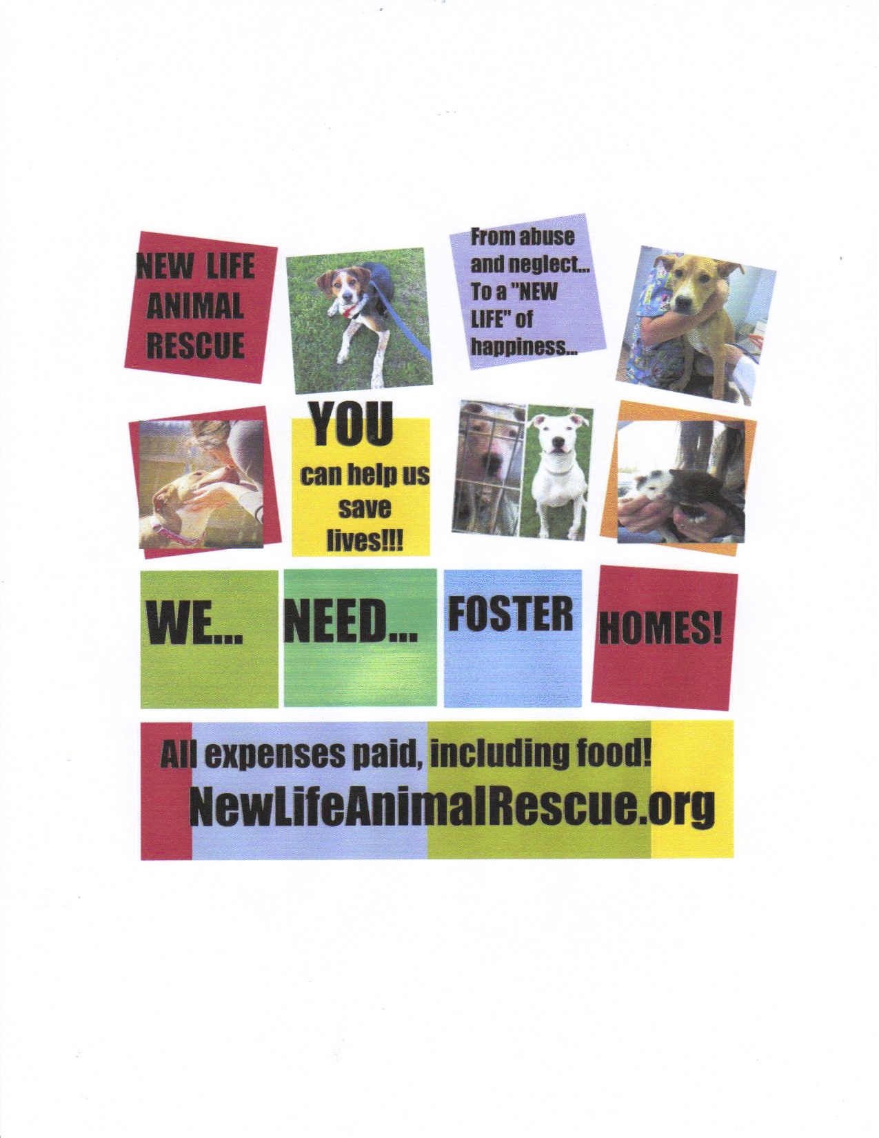 Enlarge FOSTER HOMES NEEDED!! All expenses paid!, a Adoptable Terrier in Marlton, NJ image 1/1