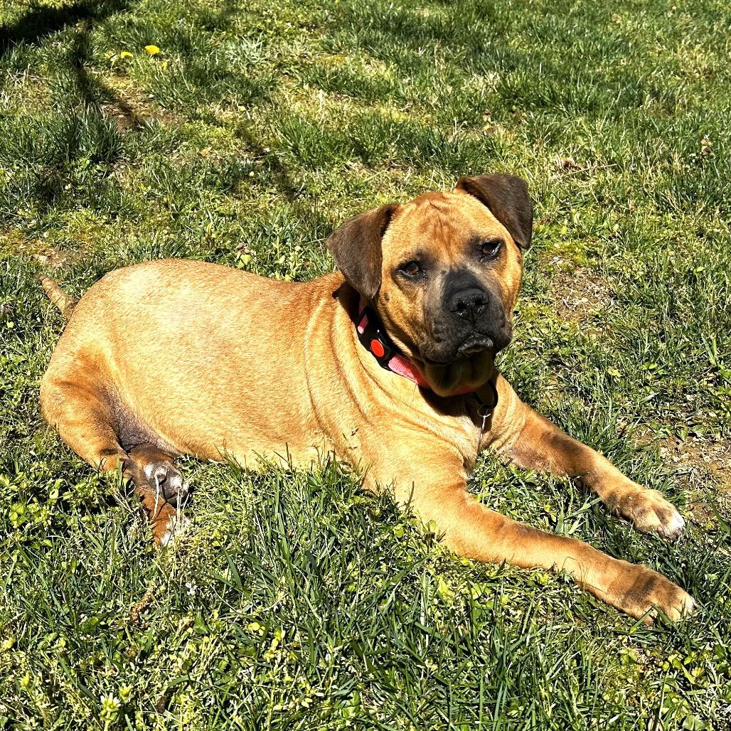 Angel — thumbnail 2