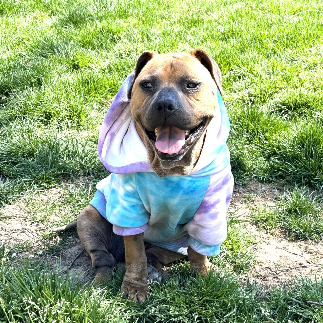 Angel — thumbnail 3