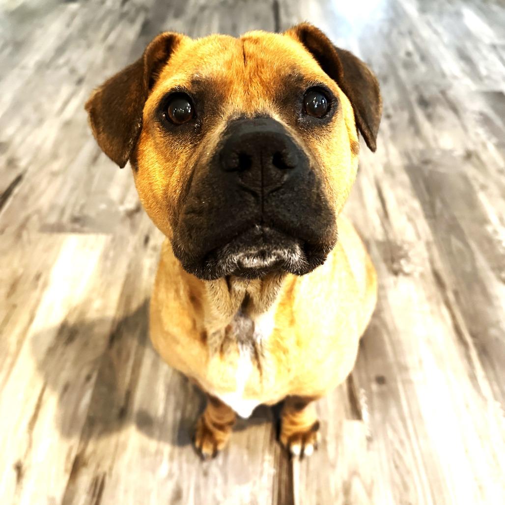 Angel — thumbnail 4