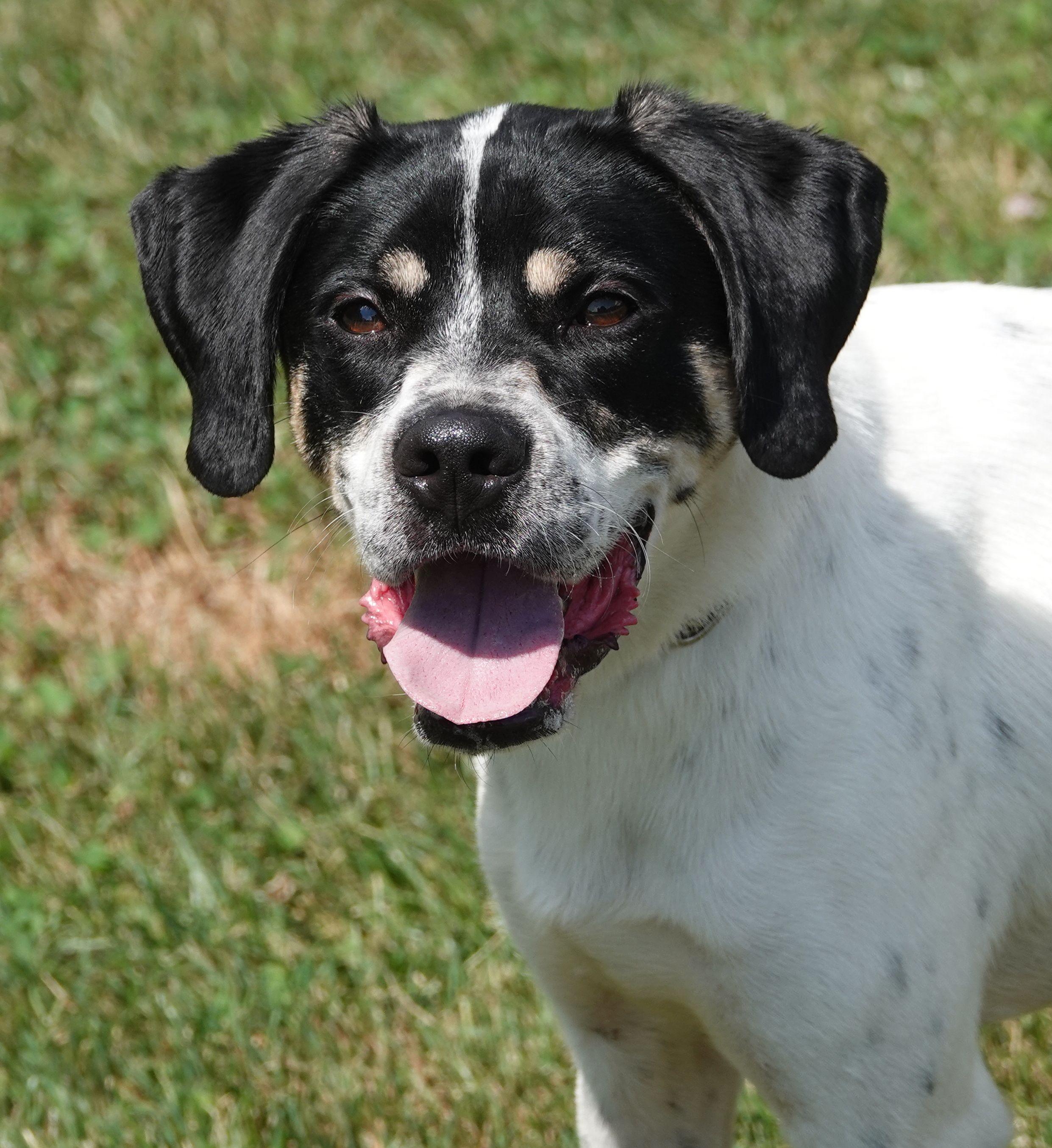 Buckley, Young Male unknown