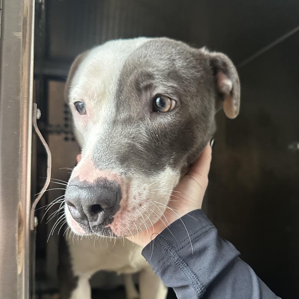 Betty — thumbnail 2