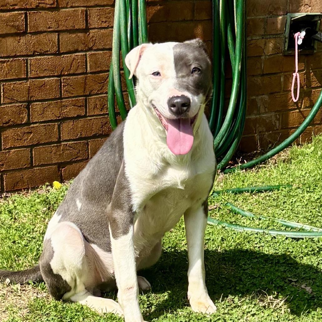 Betty — thumbnail 3