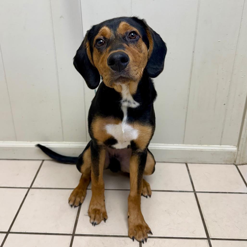 Waylon — thumbnail 2