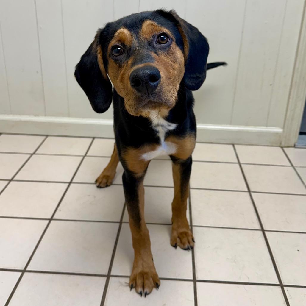 Waylon — thumbnail 3