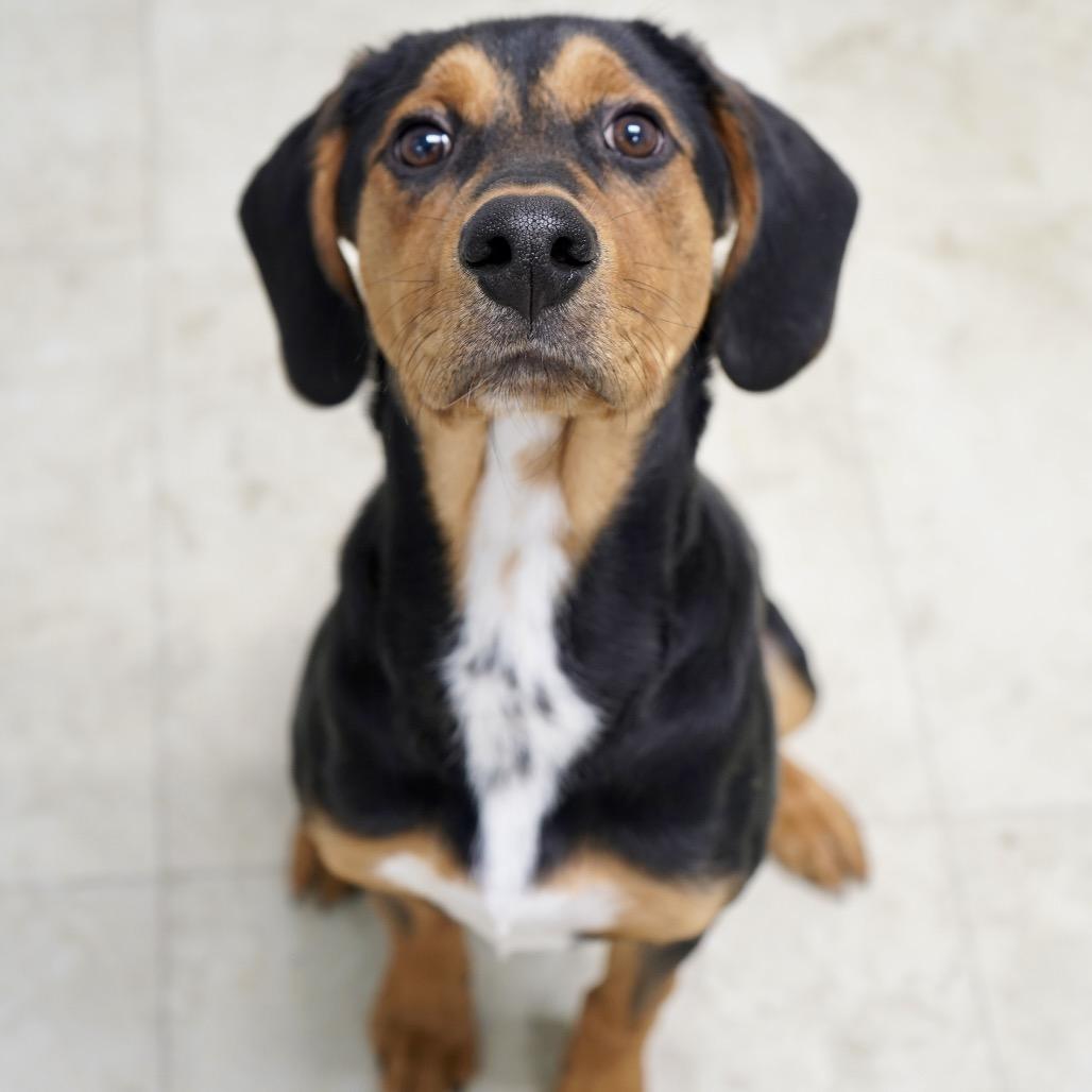 Waylon — thumbnail 5