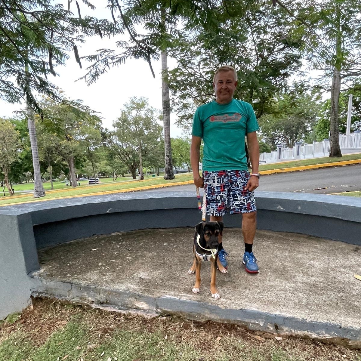 Enlarge ALEX "Ready. Set. Love." (Currently in Puerto Rico), a Adoptable Labrador Retriever in New York, NY image 4/4