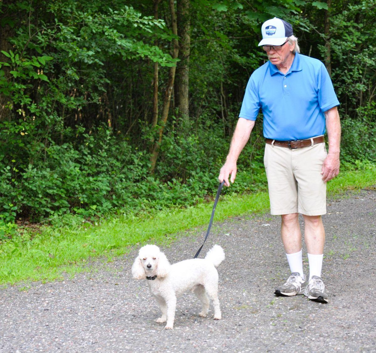 Enlarge BUDDY, an adopted Poodle in Elk River, MN image 4/6