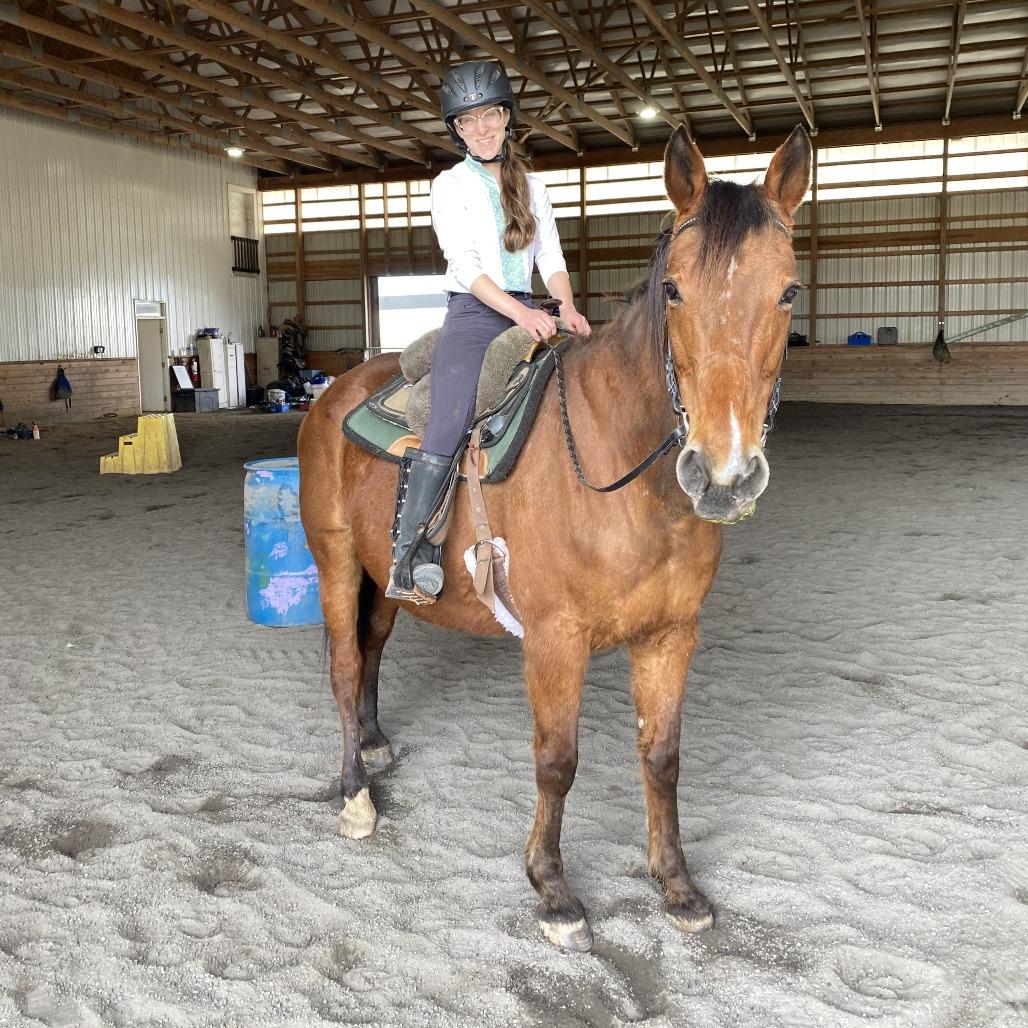 Bernadette, a Adoptable Standardbred in Quakertown, PA image 4/4