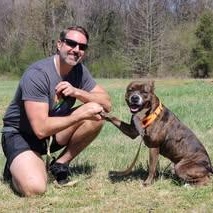 Enlarge Rocky, a ADOPTABLE mixed breed in Lebanon, TN image 6/6