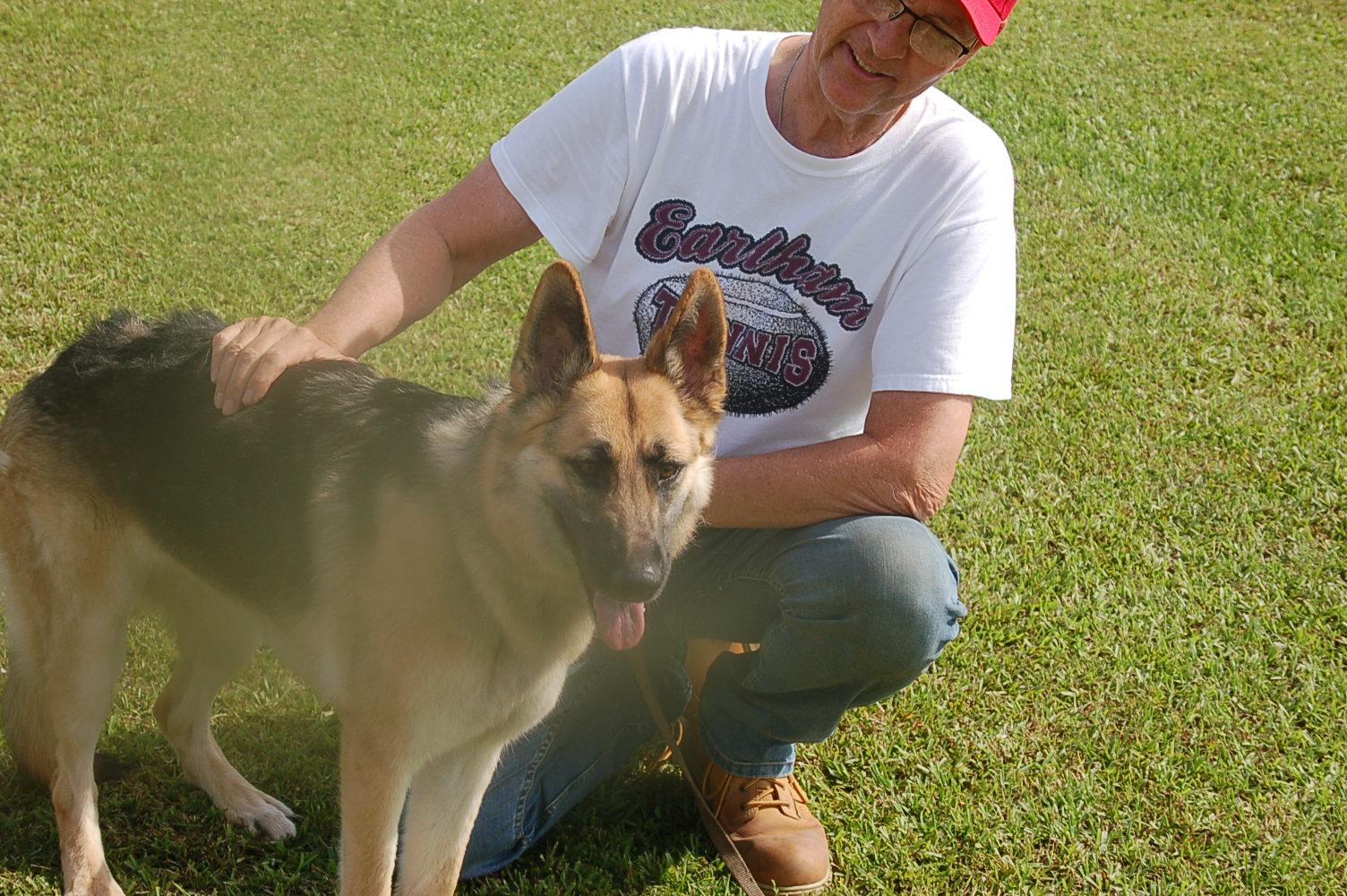 BETSY AD 06-28-25, a Adopted German Shepherd Dog in Preston, CT image 2/6