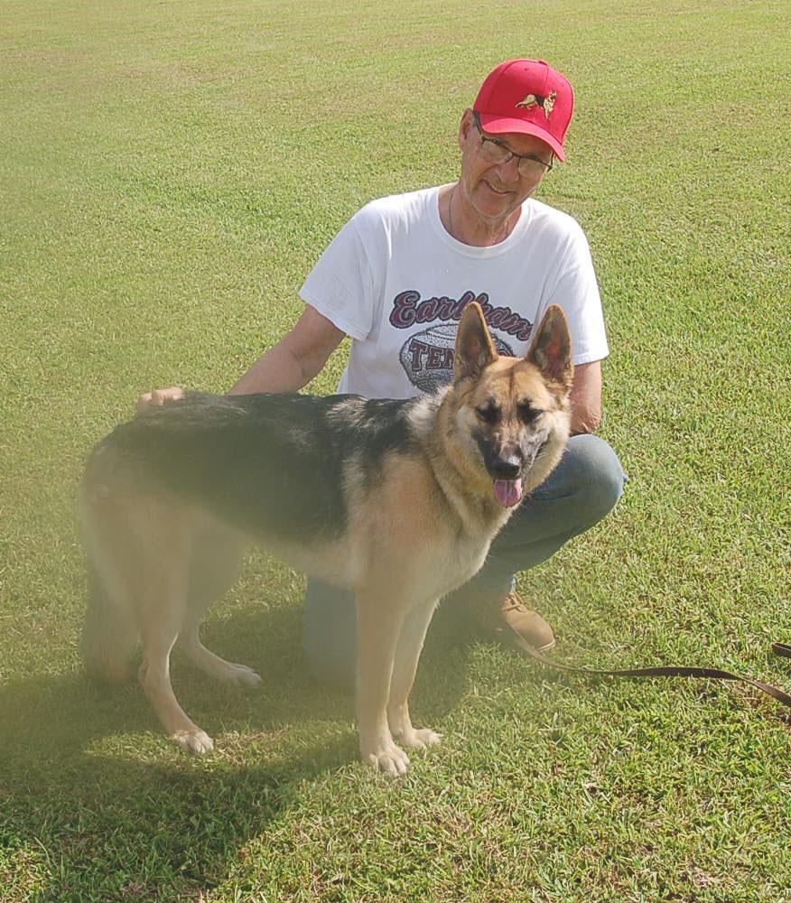 BETSY AD 06-28-25, a Adopted German Shepherd Dog in Preston, CT image 3/6