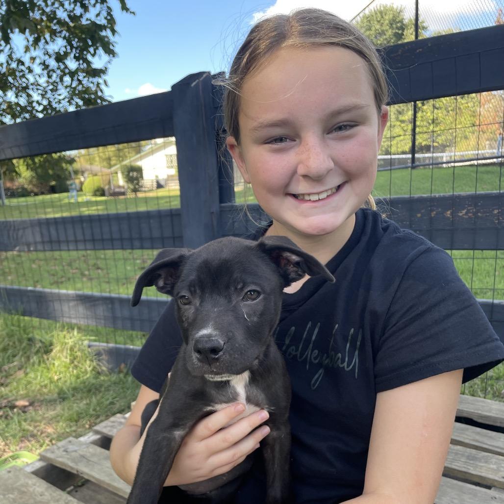 Enlarge Reagen, a Adoptable mixed breed in Cordova, TN image 6/6